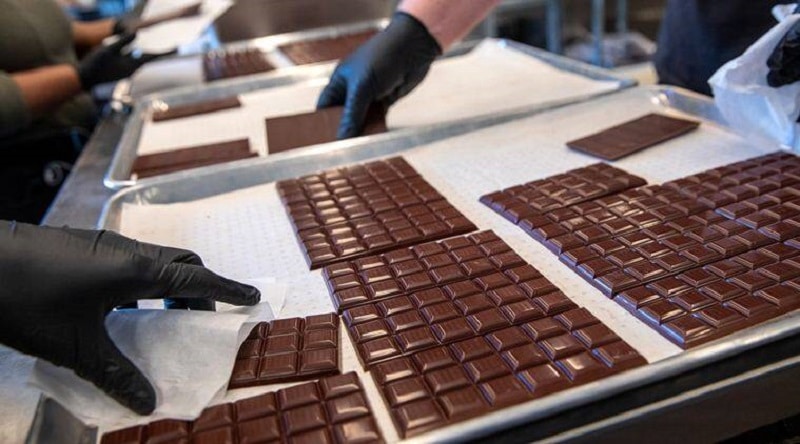chocolate industry