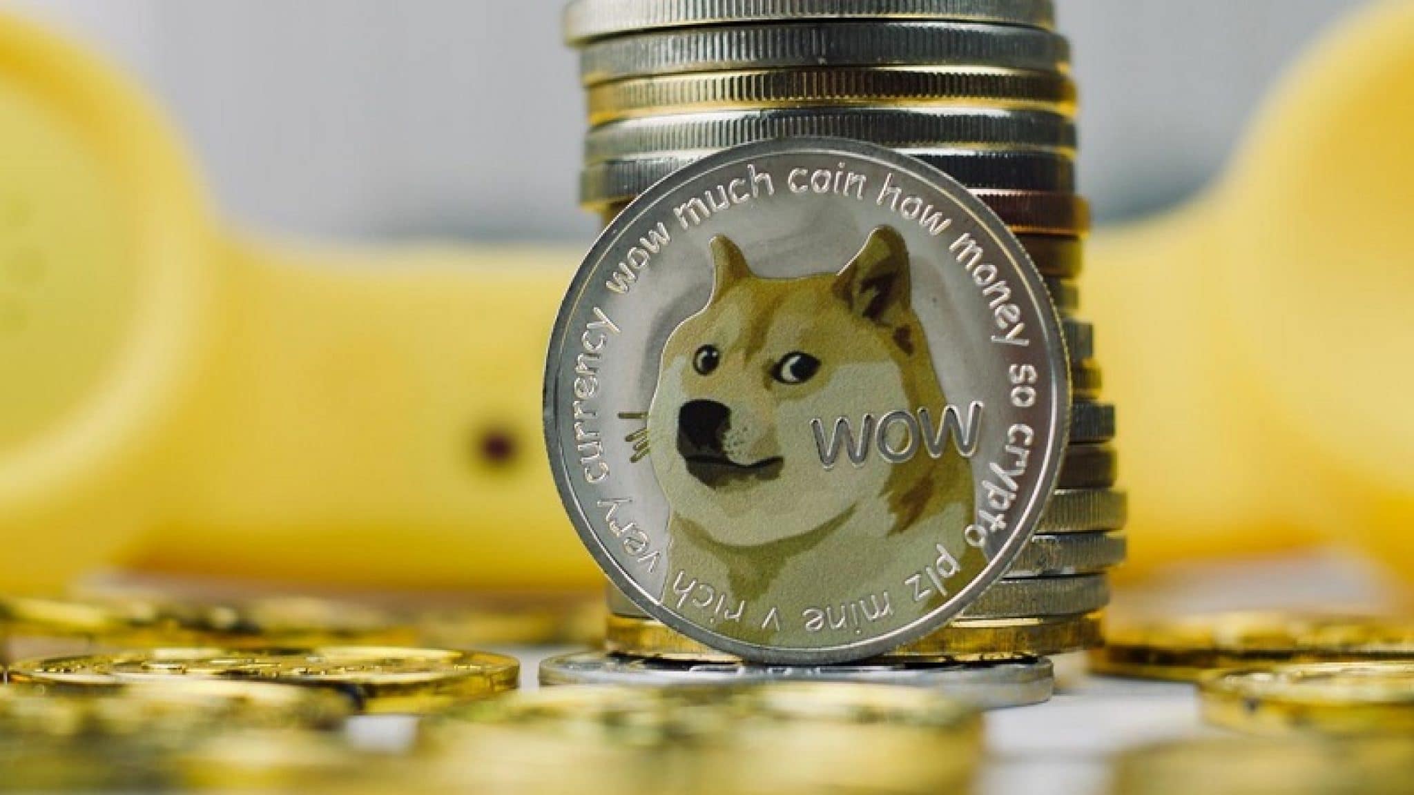 Shiba coin trading how do i get bitcoins into my wallet