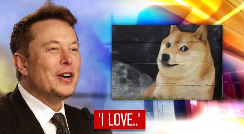 Elon Musk supporter of Dogecoin