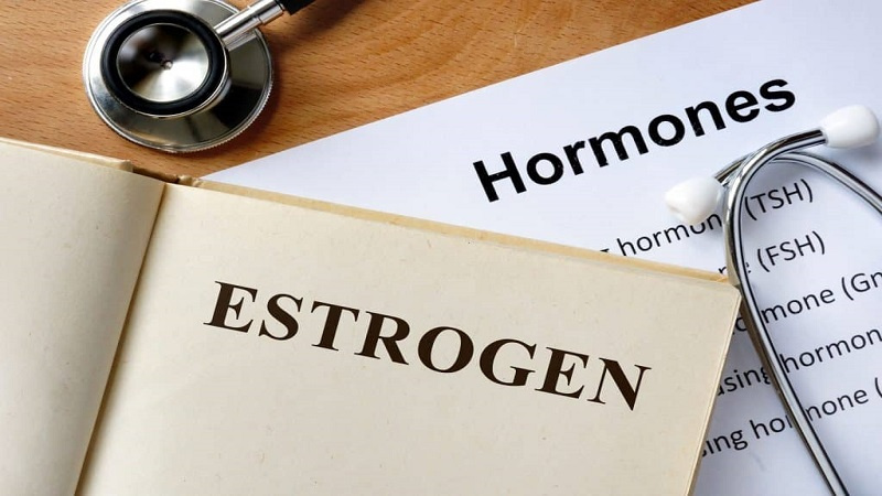 How Does Estrogen Impact Weight Gain in Men