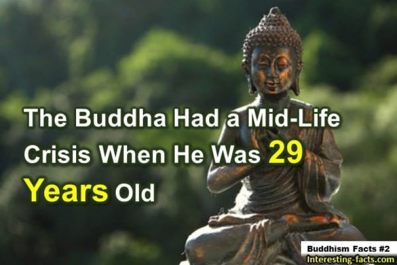 Buddhism Facts 10 Meditative Facts About Buddhismbuddhism Facts